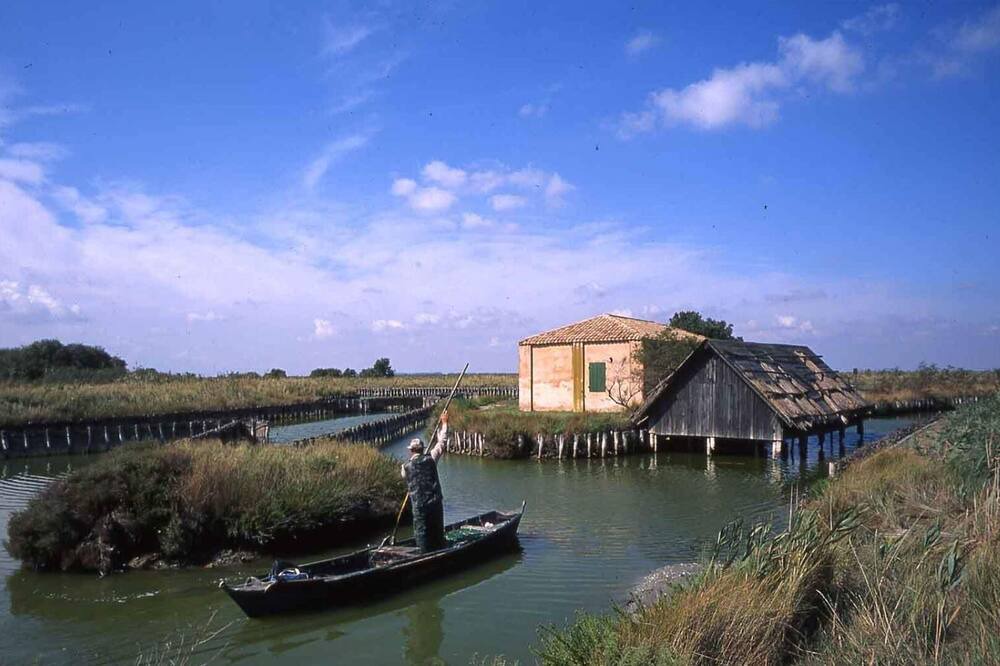 Photo of Outdoor in Lido di Pomposa