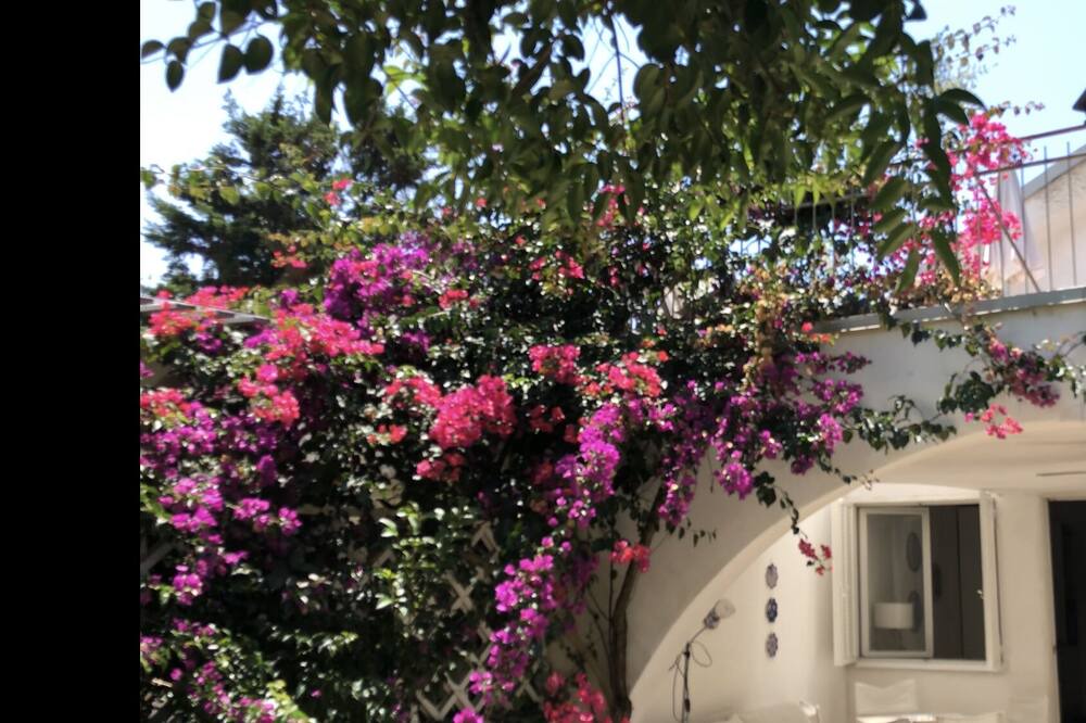 Photo of Outdoor in Gizzeria Lido