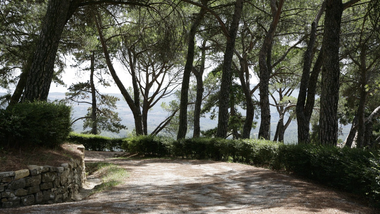 Photo of Outdoor in Montegiove