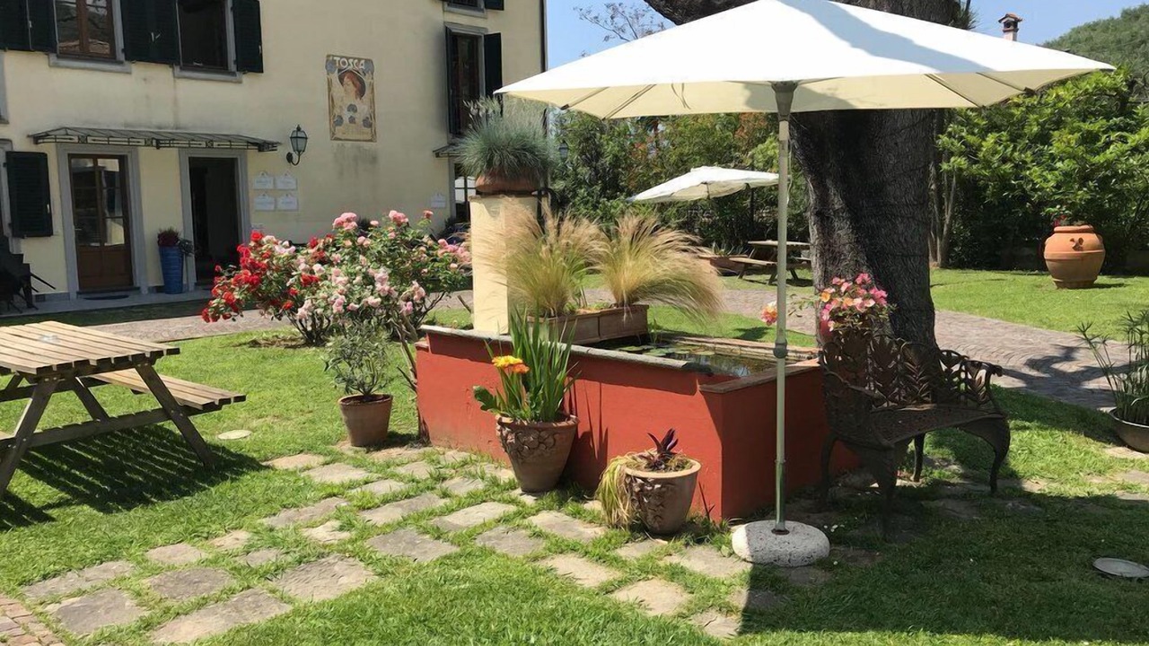 Photo of Outdoor in Massarosa