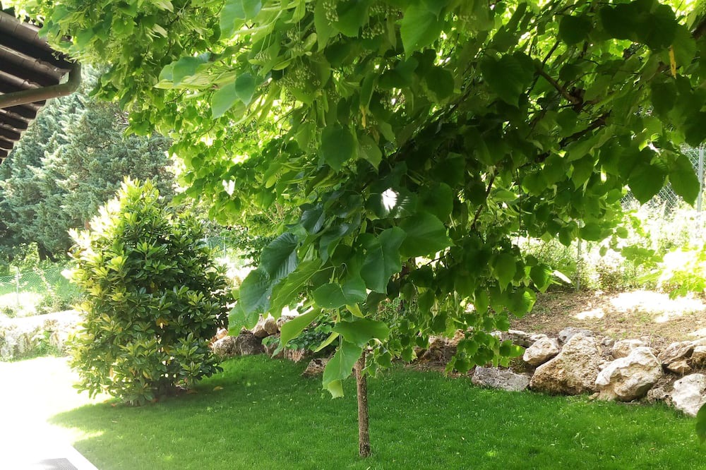 Photo of Outdoor in Vazia