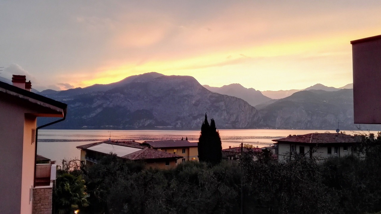 Photo of Others in Assenza