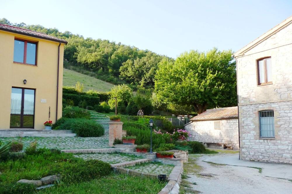 Photo of Outdoor in Pergola