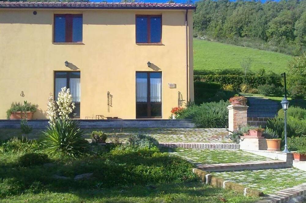 Photo of Outdoor in Pergola