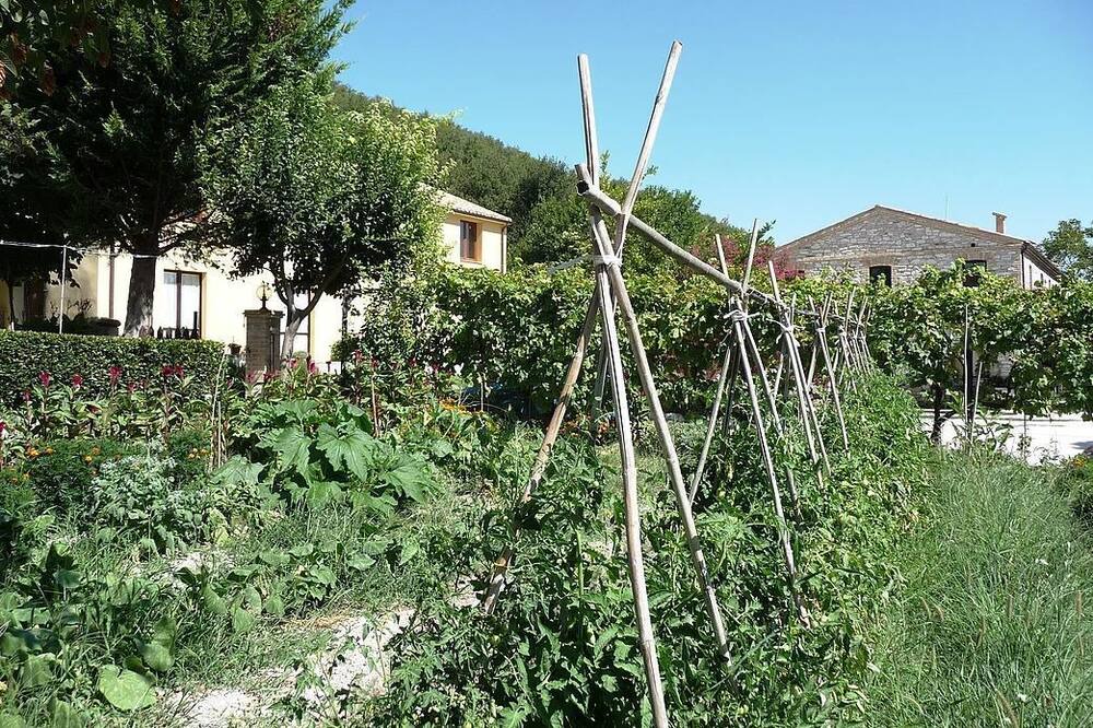 Photo of Outdoor in Pergola