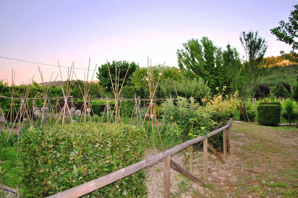 Photo of Outdoor in Pergola
