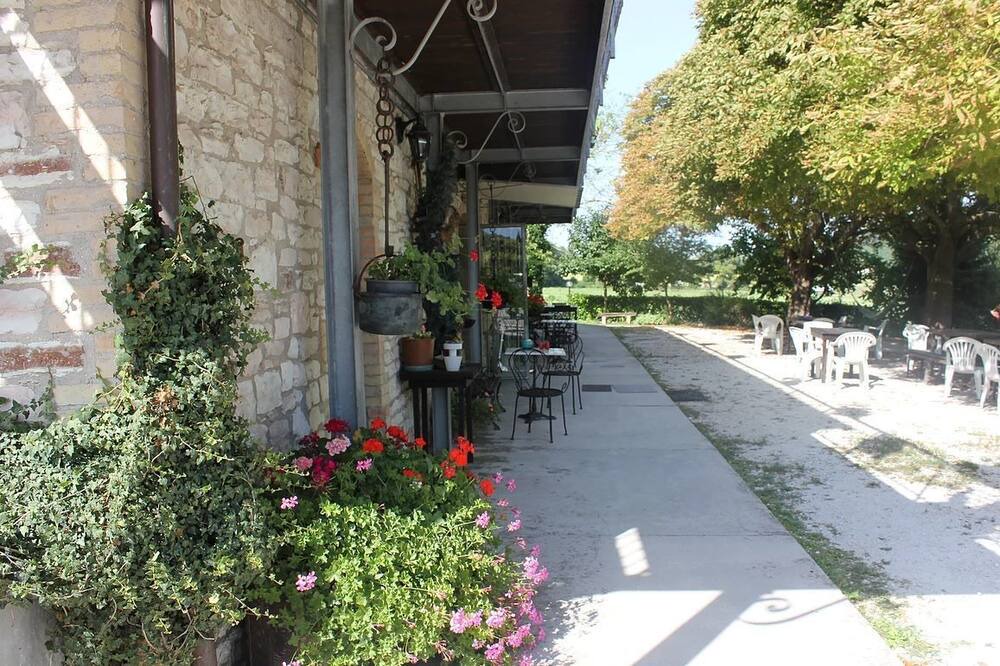 Photo of Patio Balcony in Pergola