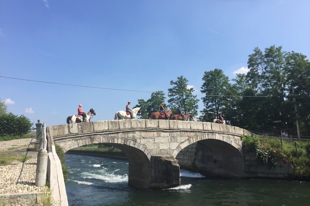 Photo of Others in Robecchetto con Induno
