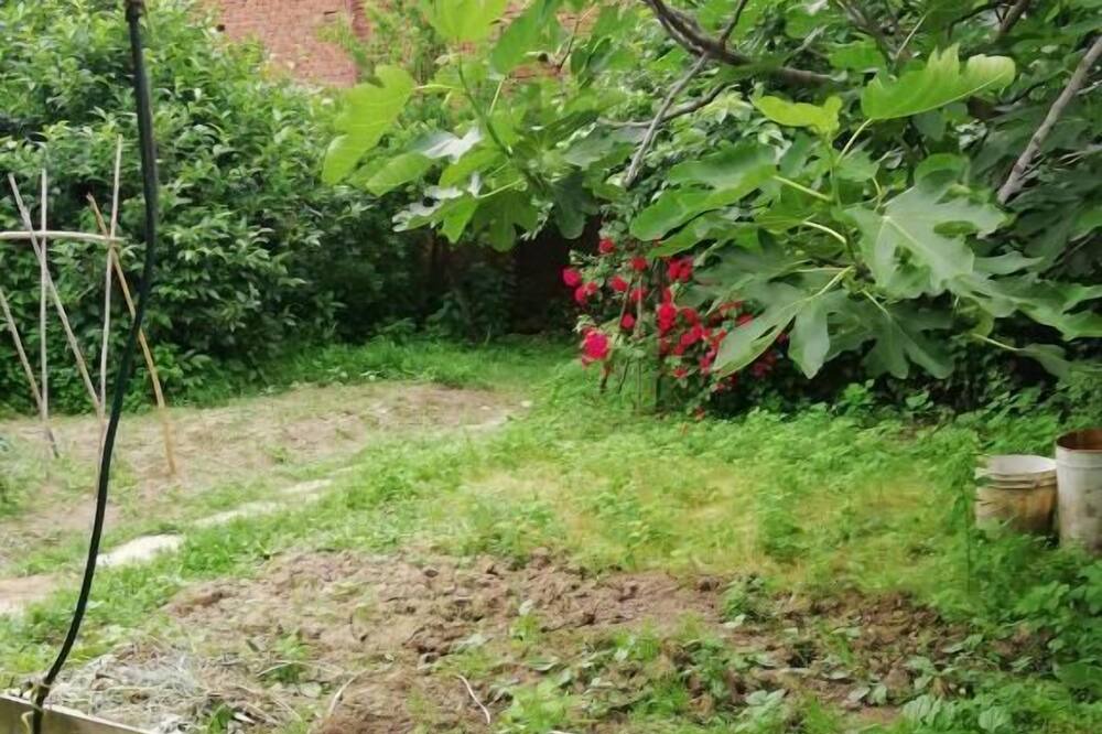 Photo of Outdoor in Olmeneta