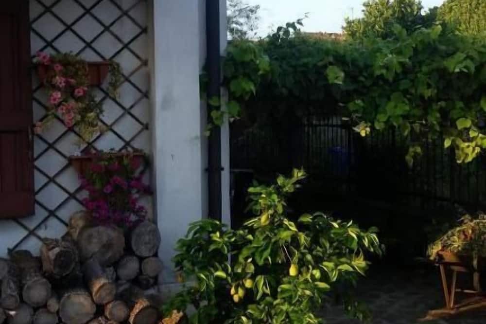 Photo of Outdoor in Olmeneta