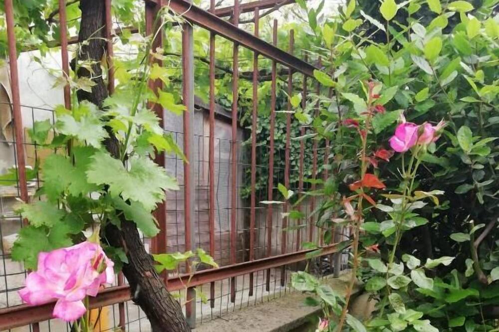 Photo of Outdoor in Olmeneta