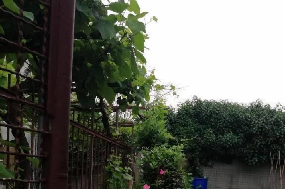 Photo of Outdoor in Olmeneta