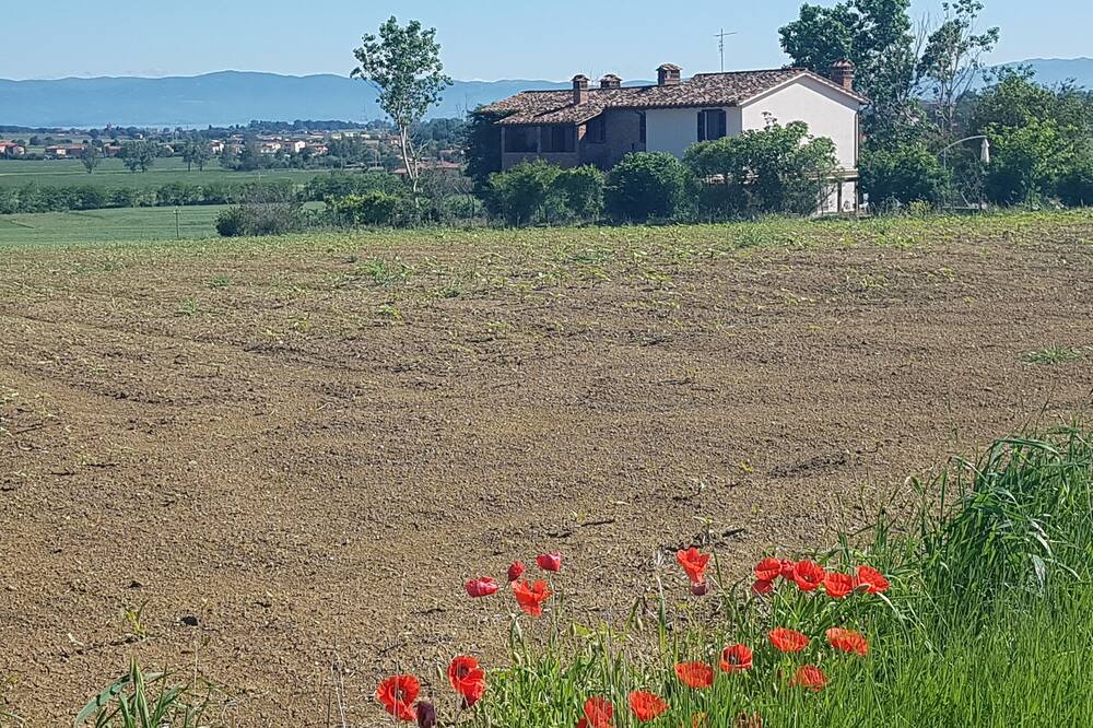 Photo of Others in Panicale