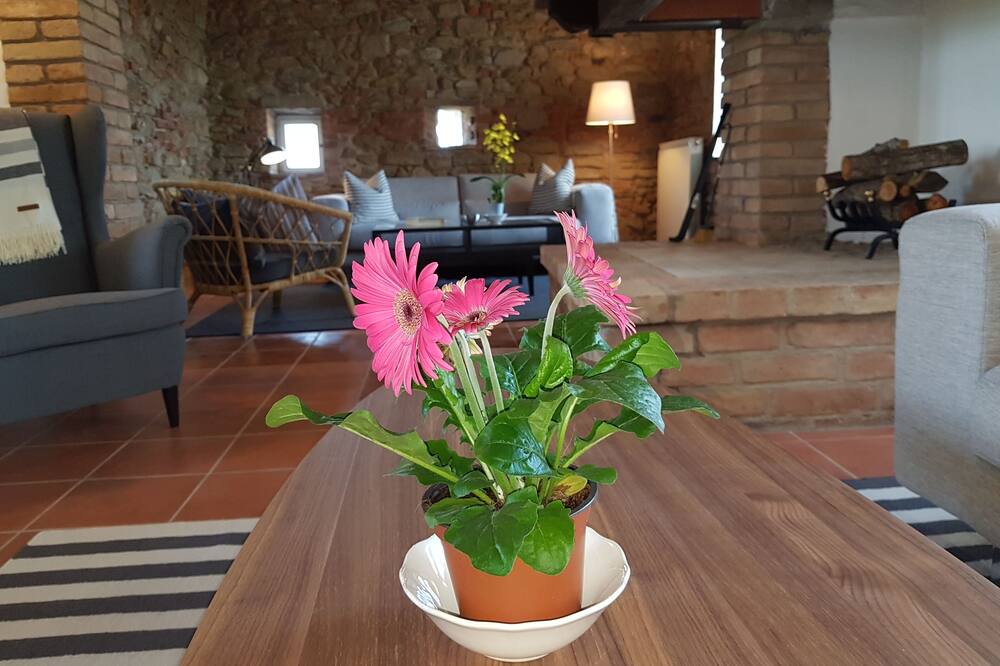 Photo of Livingroom in Panicale