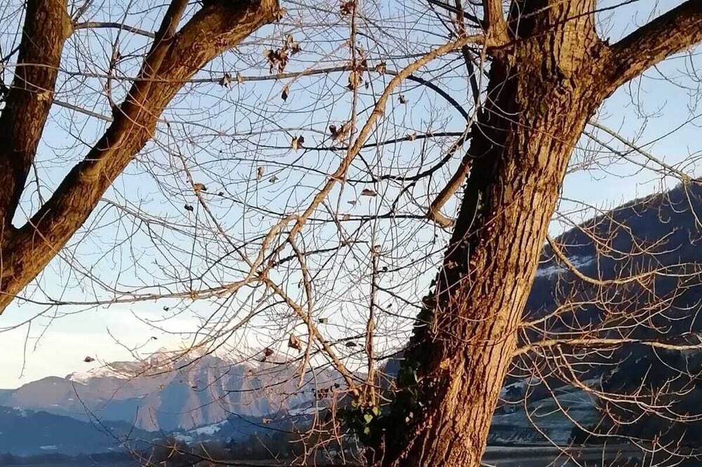 Photo of Outdoor in Zorzino