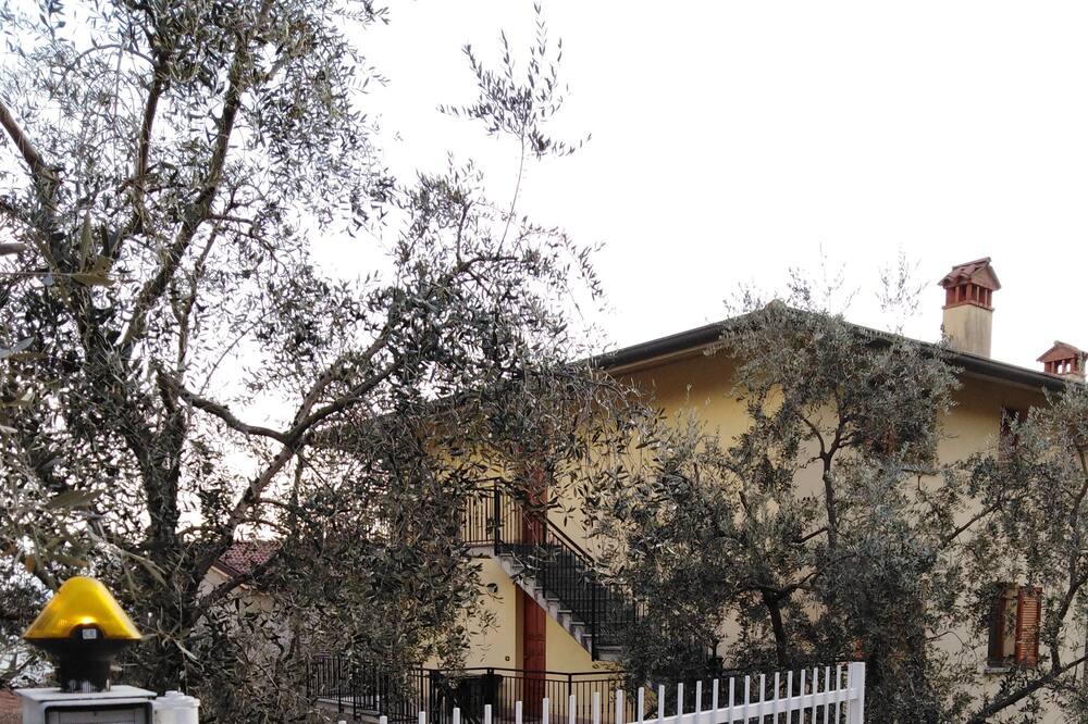 Photo of Others in Zorzino