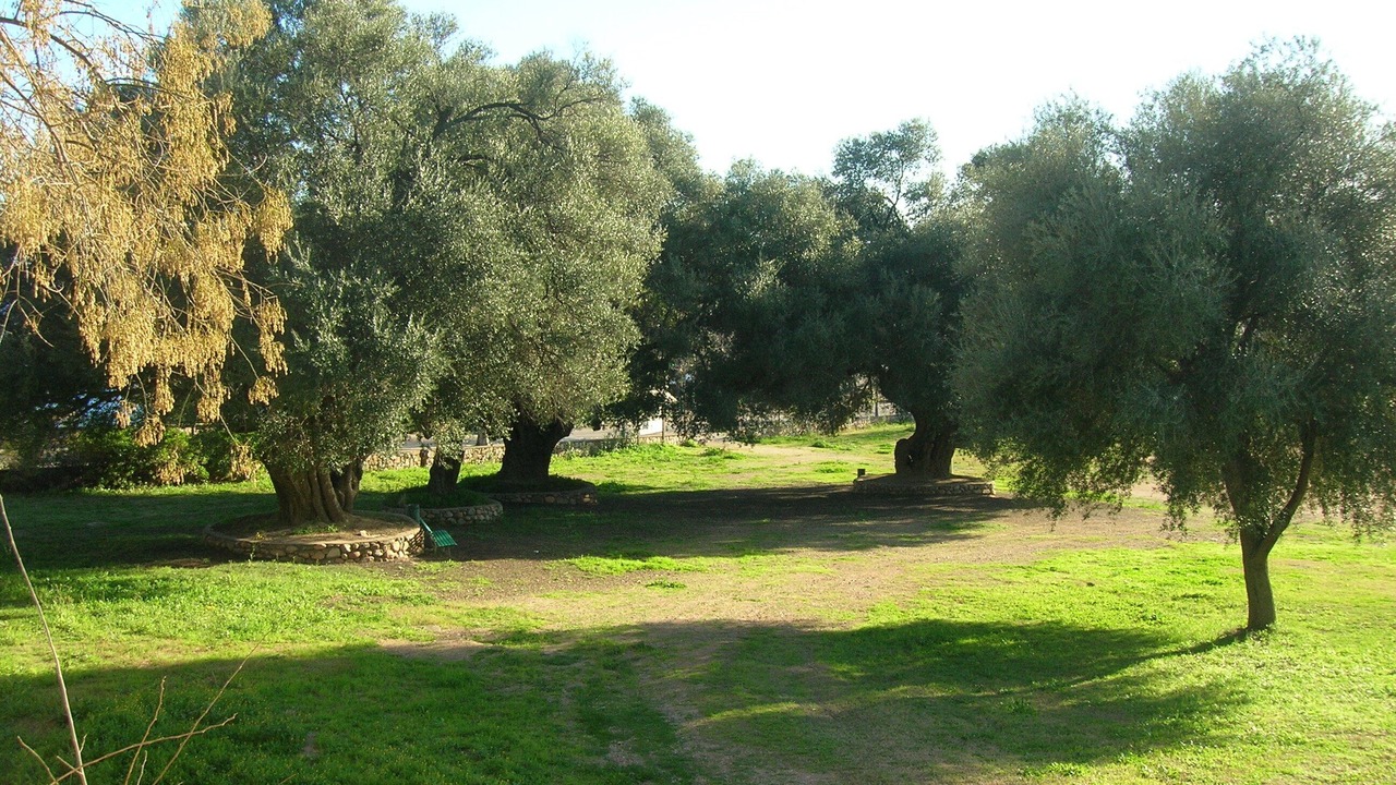 Photo of Outdoor in Santa Maria Navarrese