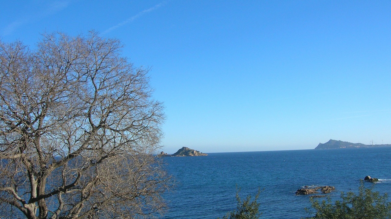 Photo of Others in Santa Maria Navarrese