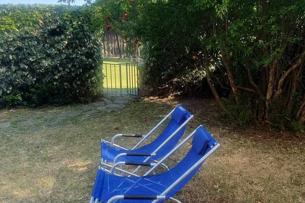 Photo of Outdoor in Castellabate