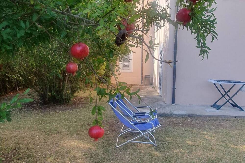 Photo of Outdoor in Castellabate
