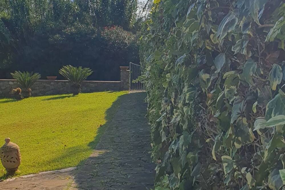 Photo of Outdoor in Castellabate