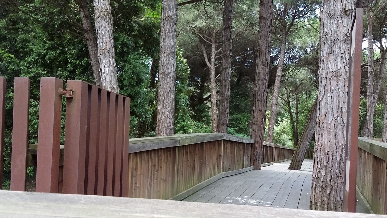 Photo of Outdoor in Jesolo Pineta