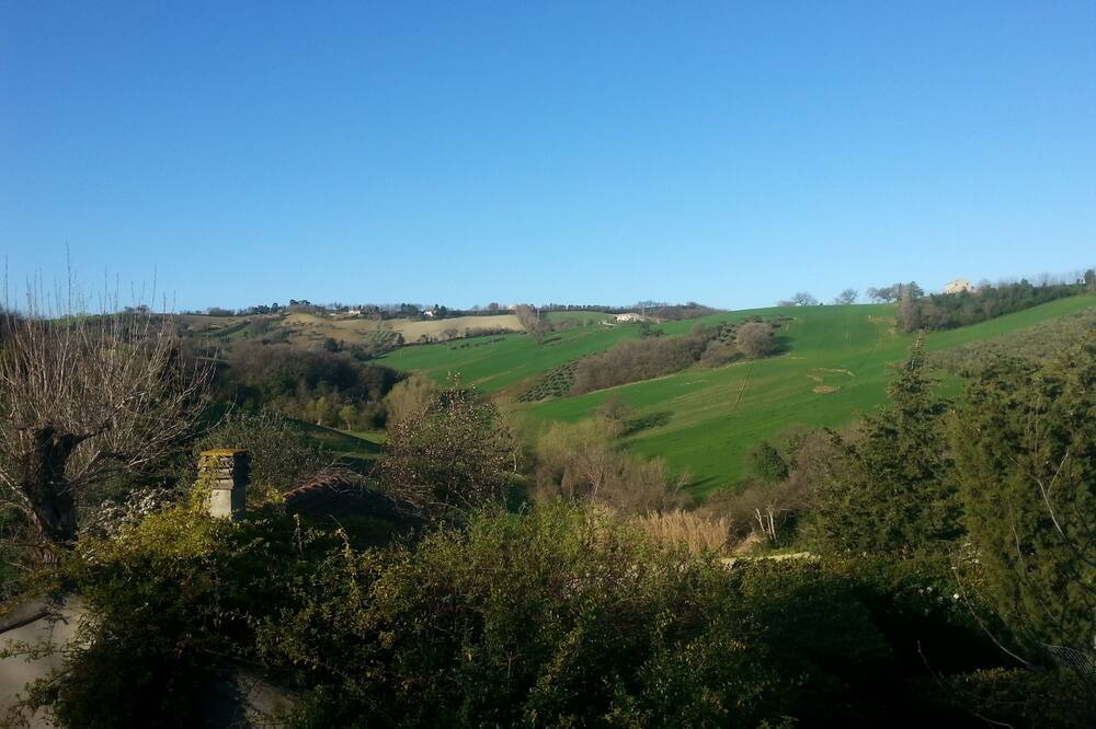 Photo of Others in Scapezzano