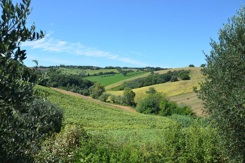 Photo of Outdoor in Scapezzano