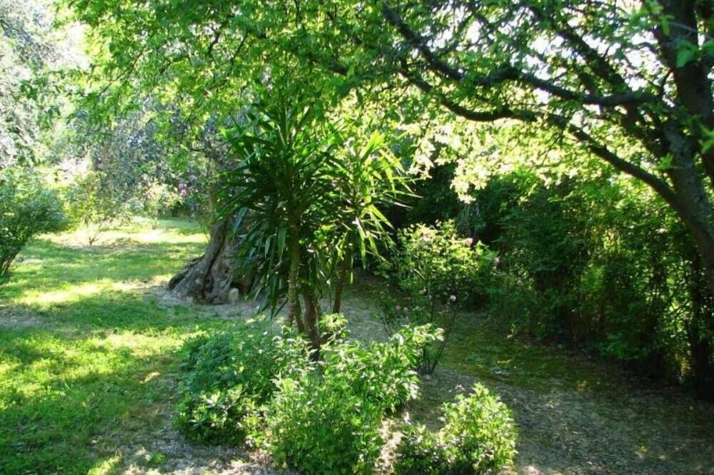 Photo of Outdoor in Scapezzano