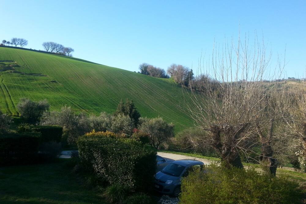 Photo of Outdoor in Scapezzano