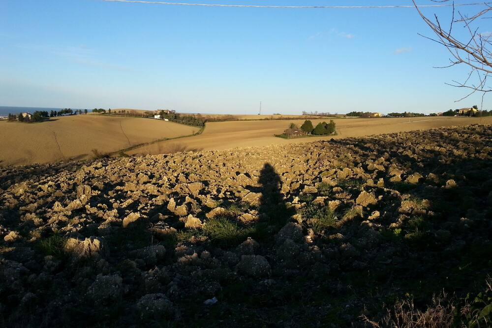 Photo of Others in Scapezzano