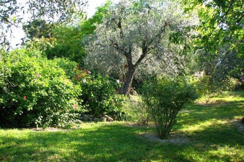 Photo of Outdoor in Scapezzano