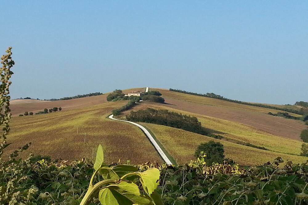 Photo of Others in Scapezzano
