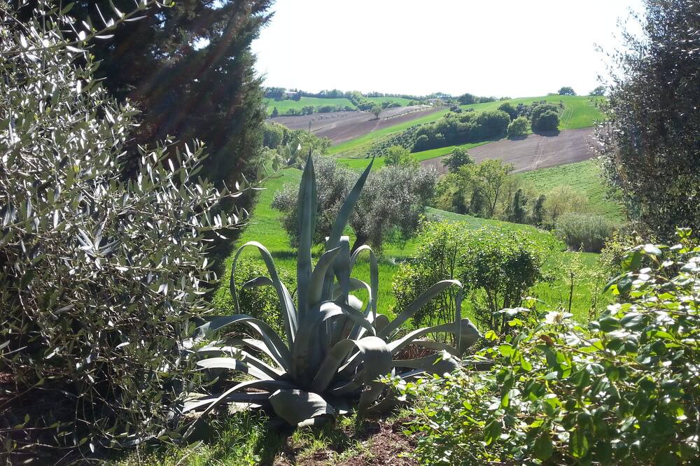 Photo of Outdoor in Scapezzano