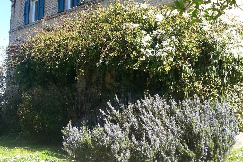 Photo of Outdoor in Scapezzano
