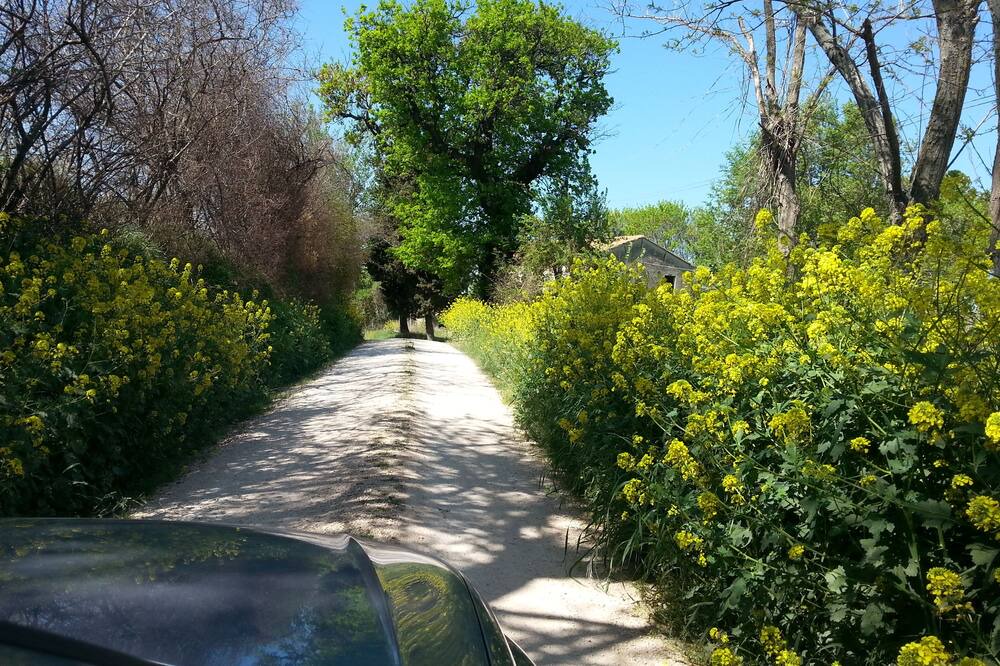 Photo of Outdoor in Scapezzano