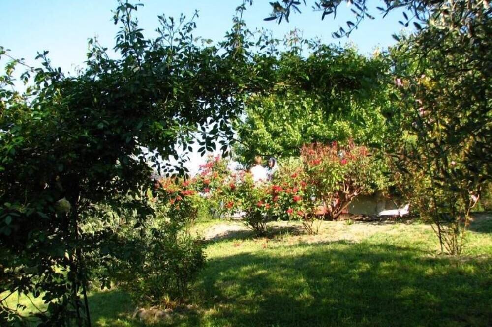 Photo of Outdoor in Scapezzano