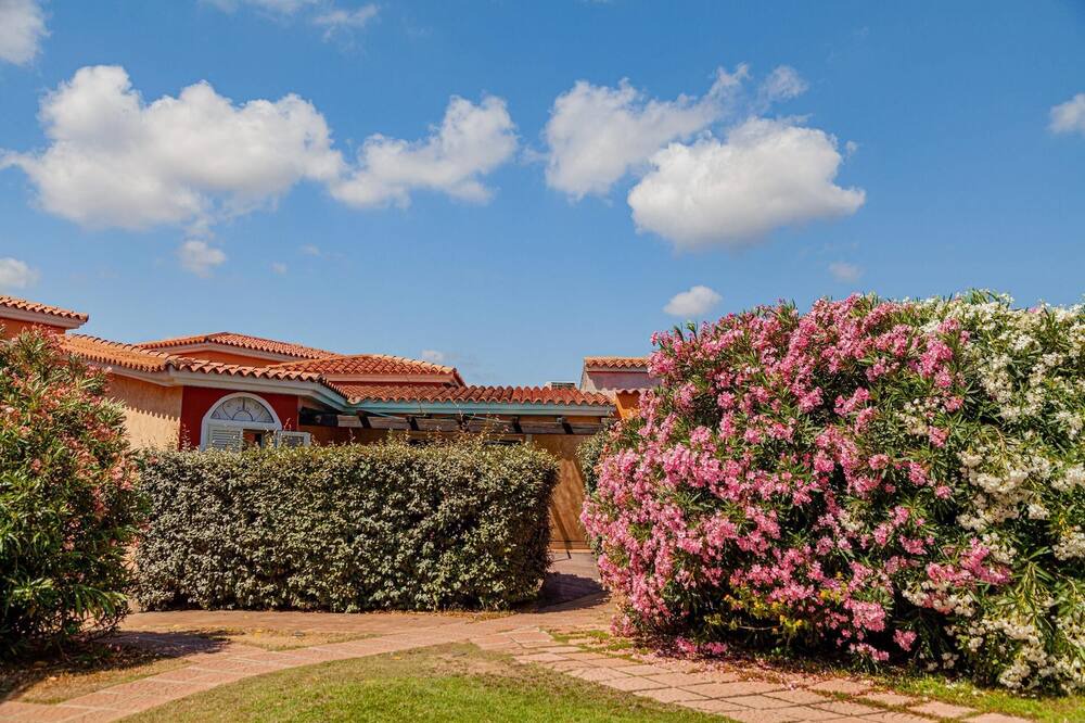Photo of Outdoor in Tiriddo