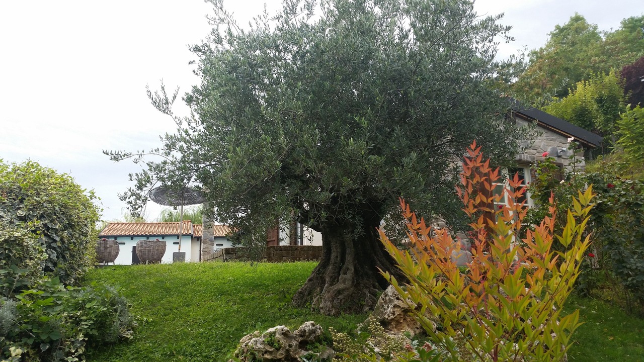 Photo of Outdoor in Fortunago