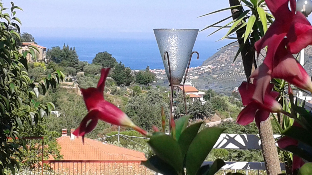 Photo of Outdoor in Perdifumo