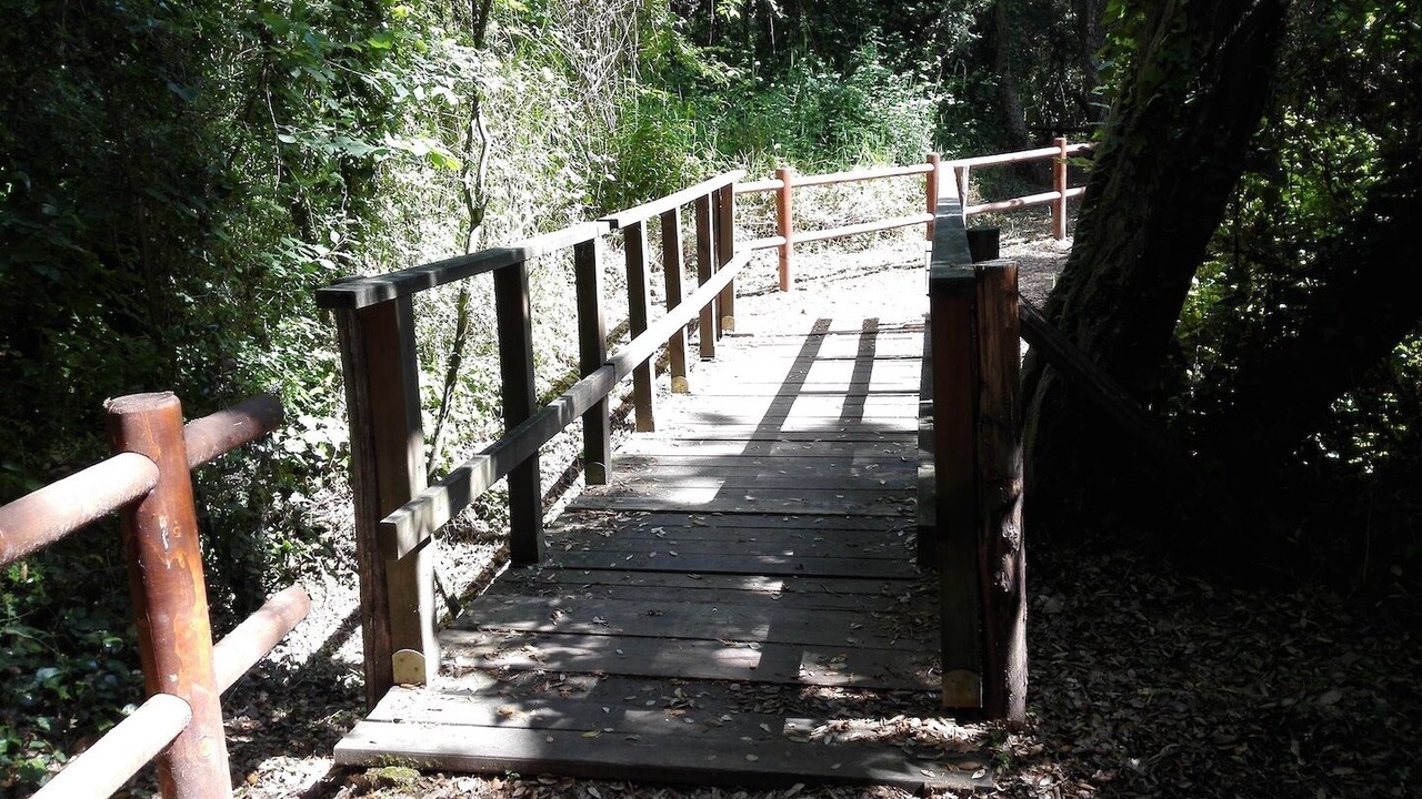 Photo of Outdoor in Gianola