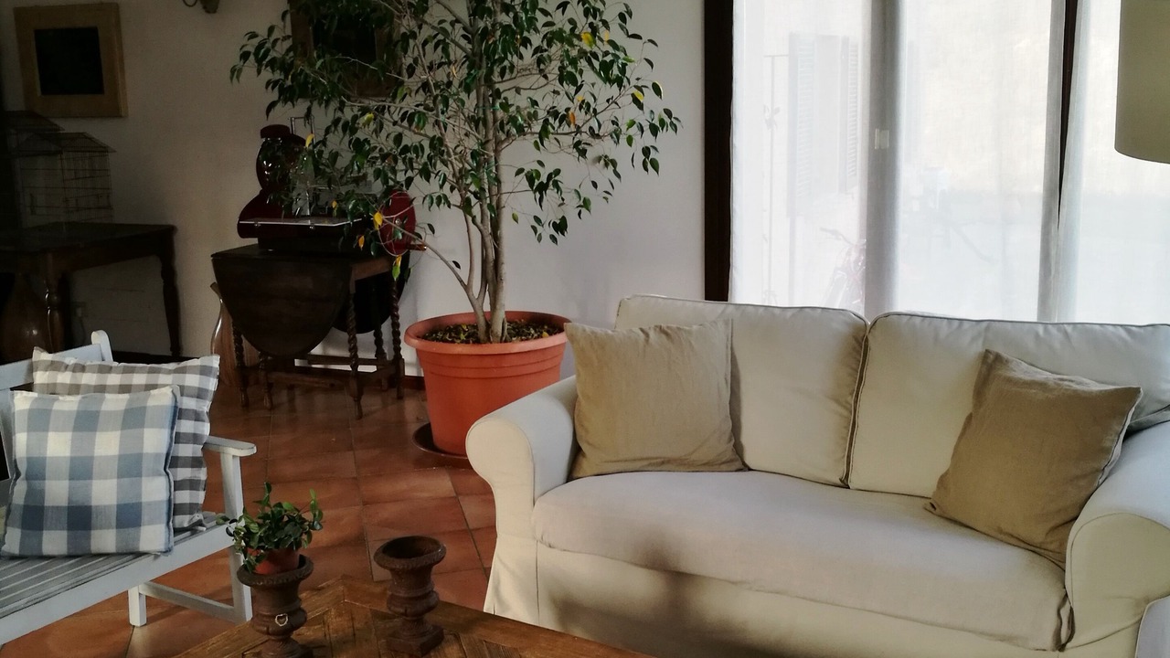 Photo of Livingroom in San Lazzaro di Savena