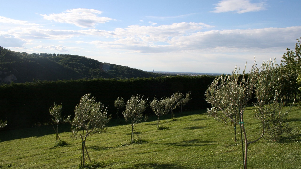 Photo of Outdoor in San Lazzaro di Savena