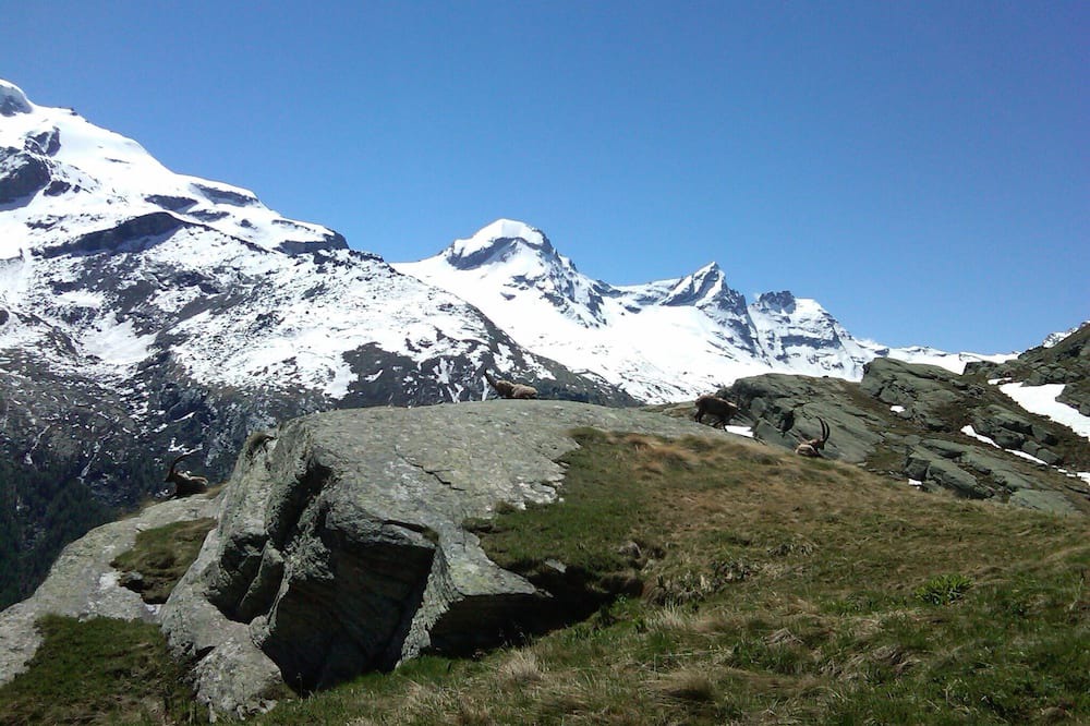 Photo of Outdoor in Degioz