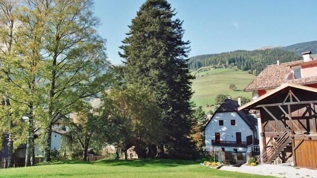 Photo of Outdoor in Sarntal