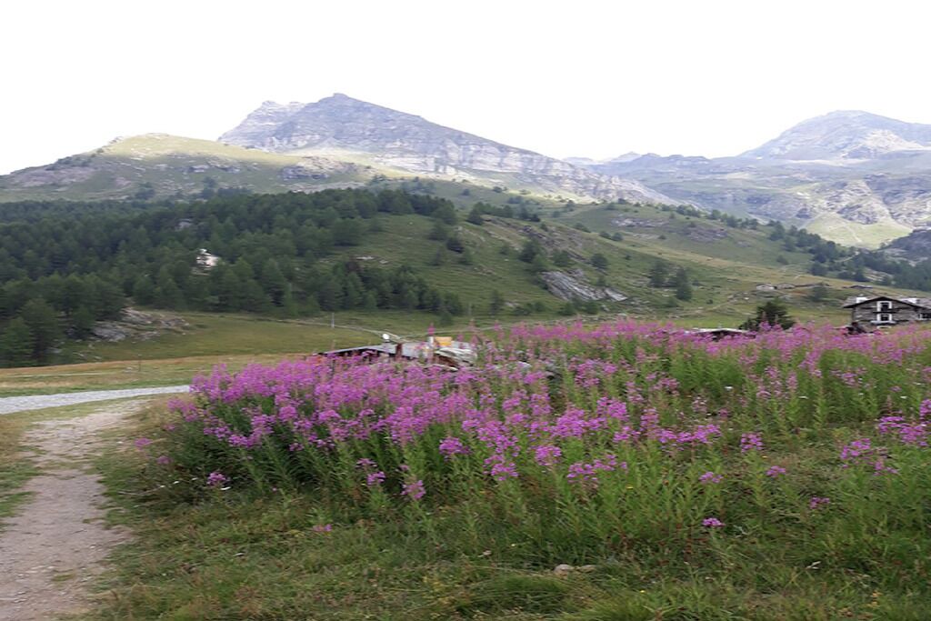 Photo of Outdoor in Chatillon