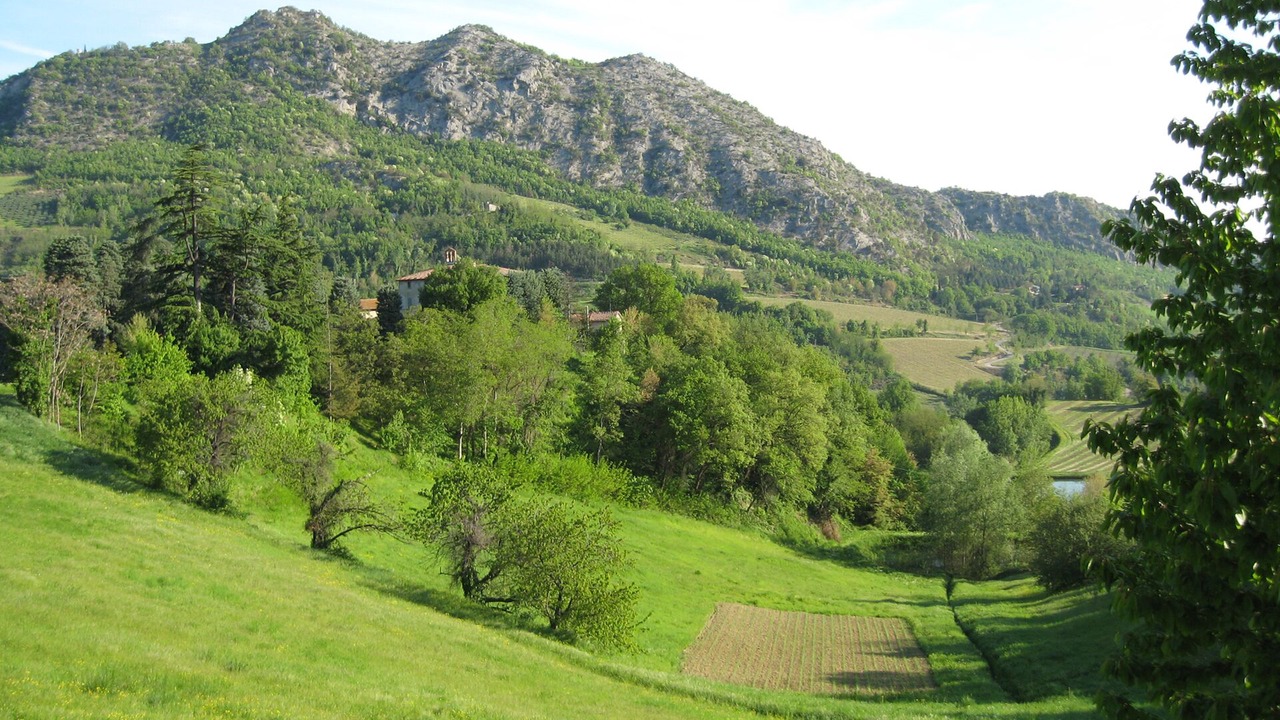 Photo of Others in Brisighella