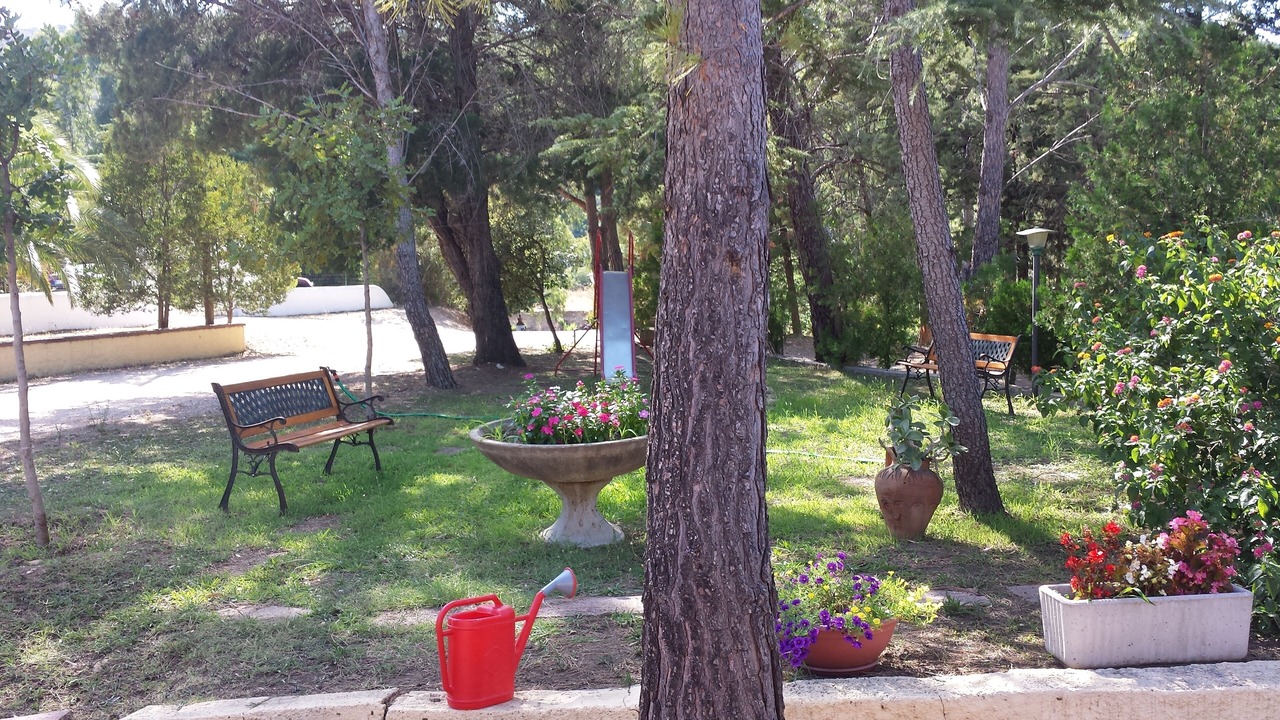 Photo of Outdoor in Siniscola