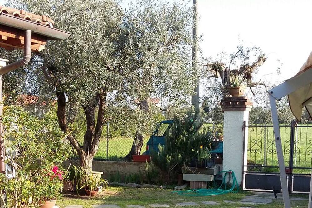 Photo of Outdoor in Querceta