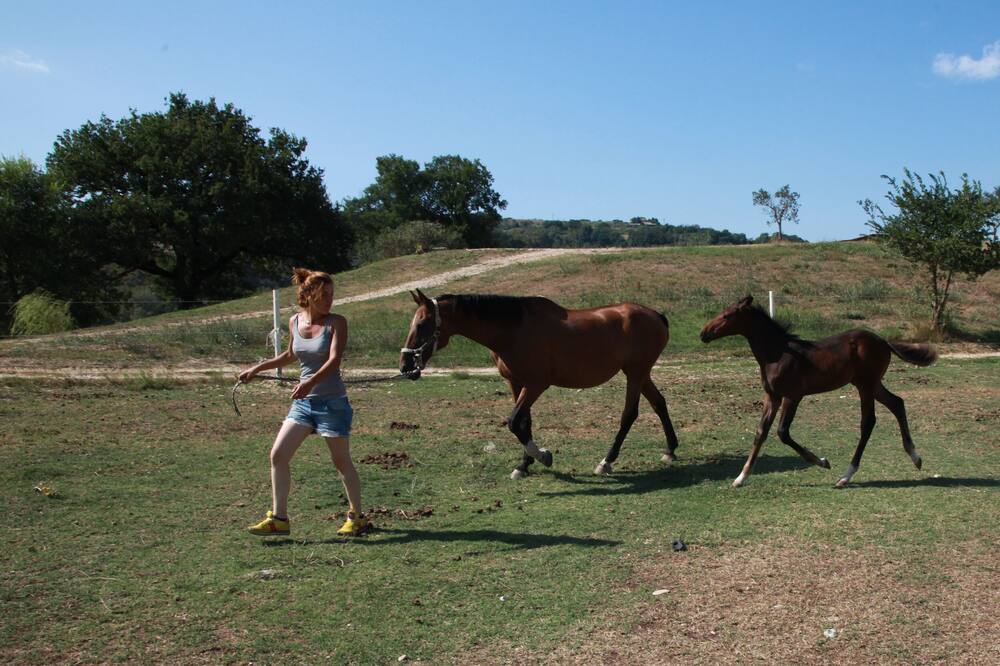 Photo of Others in Montoro